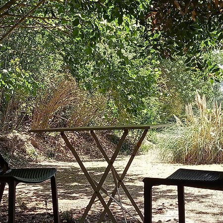 Les Restanques - Chambre D'Hotes Cuges-les-Pins Kültér fotó